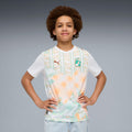 Ivory Coast 26 Away Mini Kit Full Set Shirt & Shorts